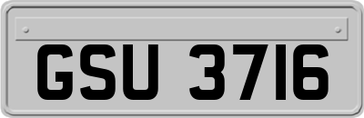 GSU3716