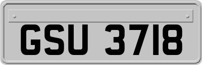 GSU3718