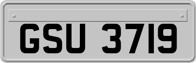 GSU3719