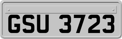 GSU3723