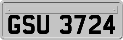 GSU3724