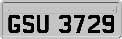 GSU3729