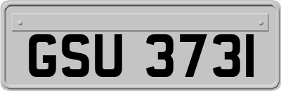 GSU3731