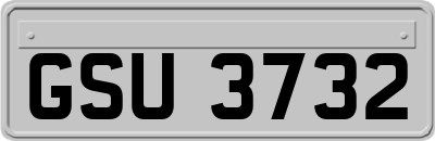 GSU3732