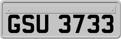 GSU3733