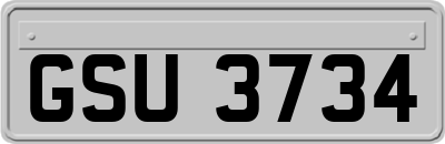GSU3734
