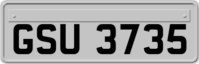 GSU3735