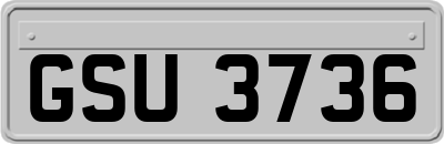 GSU3736