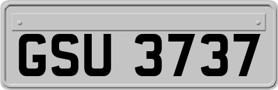 GSU3737