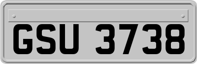 GSU3738