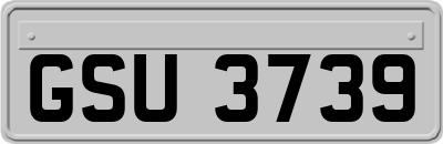 GSU3739