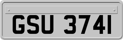 GSU3741