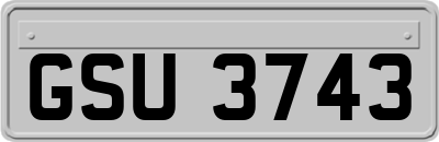 GSU3743