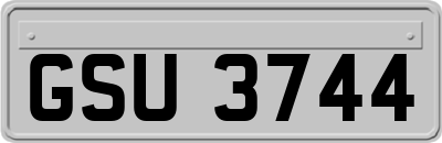 GSU3744