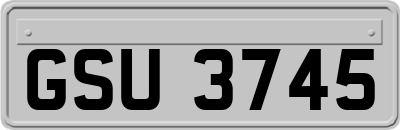 GSU3745