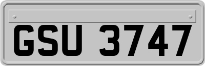 GSU3747