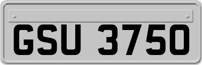 GSU3750
