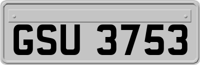 GSU3753