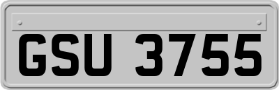 GSU3755