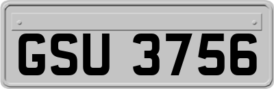 GSU3756