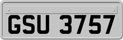 GSU3757