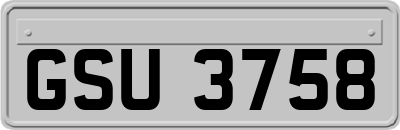 GSU3758