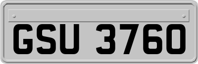 GSU3760