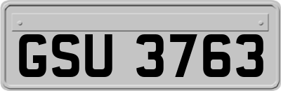 GSU3763