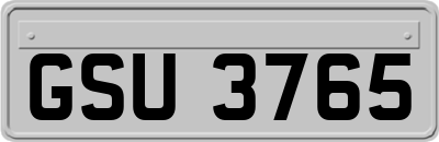 GSU3765