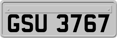 GSU3767