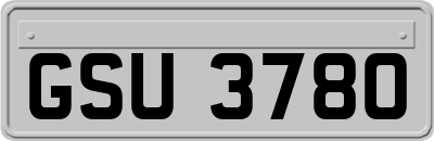 GSU3780