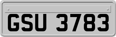 GSU3783
