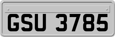 GSU3785