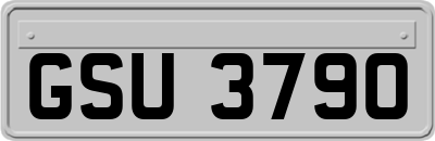GSU3790