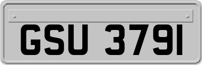 GSU3791