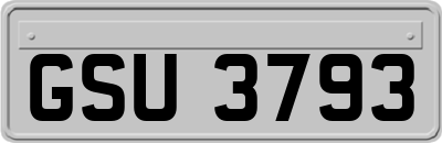 GSU3793
