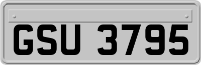 GSU3795