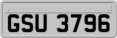 GSU3796