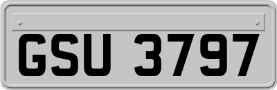 GSU3797