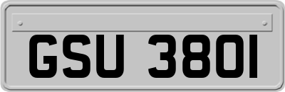 GSU3801