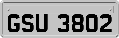 GSU3802