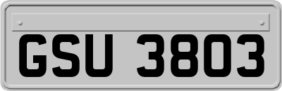 GSU3803