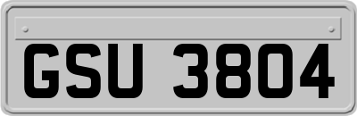 GSU3804