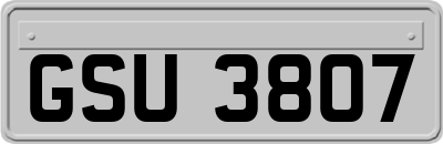 GSU3807
