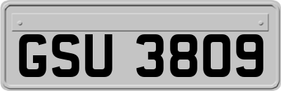 GSU3809