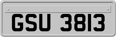 GSU3813