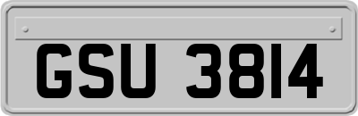 GSU3814