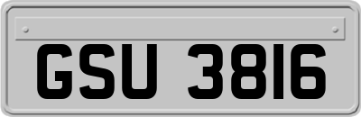 GSU3816