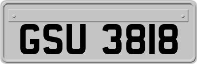 GSU3818