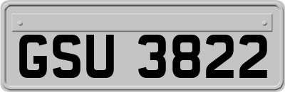 GSU3822